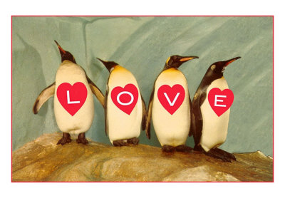 Four Emperor Penguins, LOVE Art Print